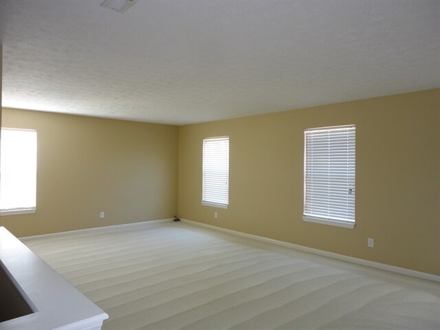 Building Photo - 1376 Blue Ridge Ln