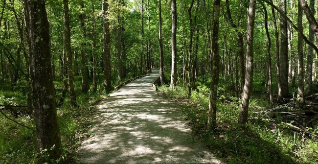 Building Photo - 3/2.5 Townhome in Shearwater St Augustine! Pet Friendly! Amenities Included!