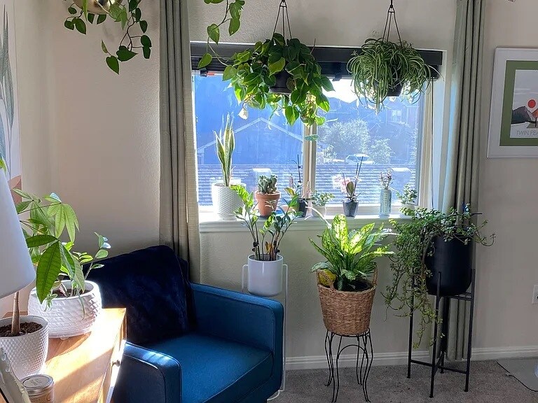 Building Photo - 5801 A Charles Merle Dr