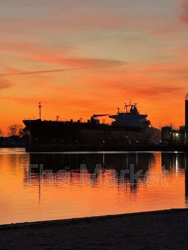 Building Photo - 75 Avalon Ave