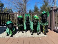 Building Photo - Rents always include high speed internet, cable, water, sewer, trash & pest control without any c...