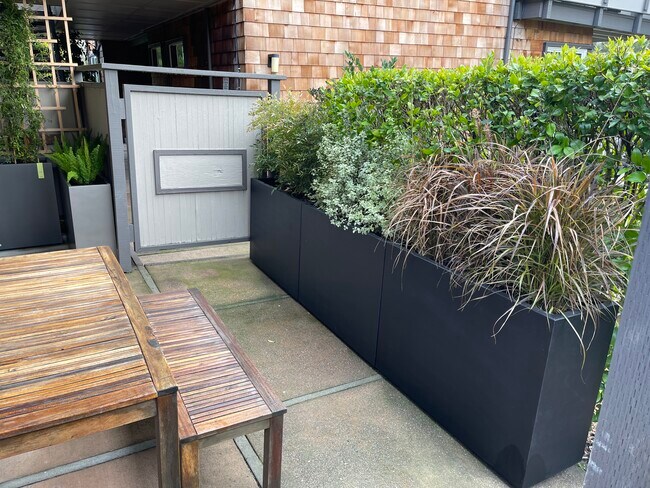 Building Photo - 36 Redwood Ave