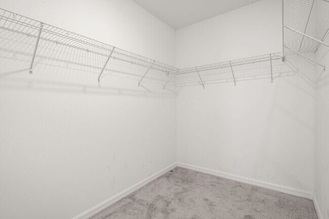 Building Photo - LIKE NEW Home For Rent in Zephyrhills!