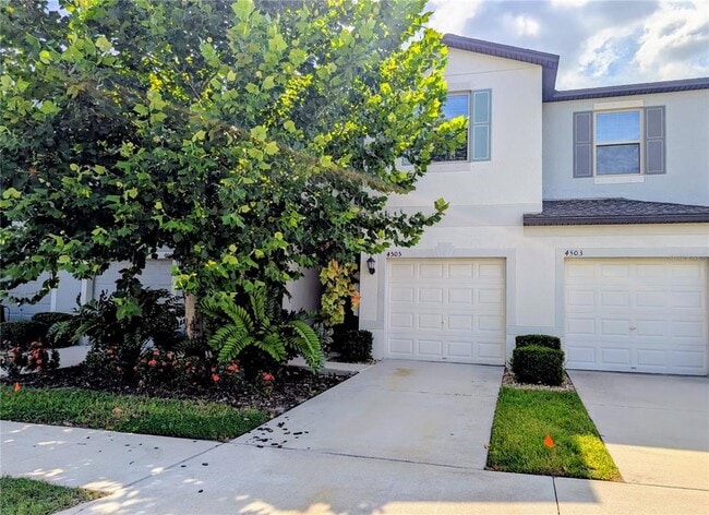 Primary Photo - 4505 Globe Thistle Dr