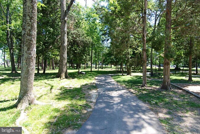 Building Photo - 22641 Blue Elder Terrace