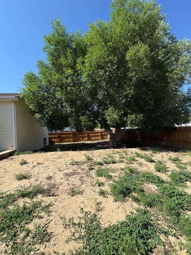 Building Photo - Beautiful 4 bedroom house avail 6/12