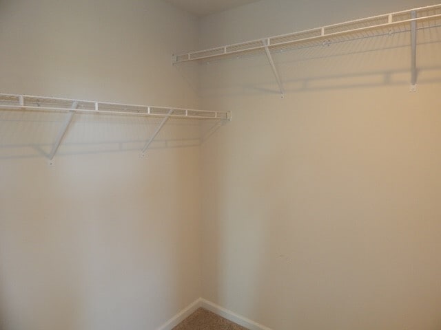 Building Photo - 784 Rocky Ridge Cir
