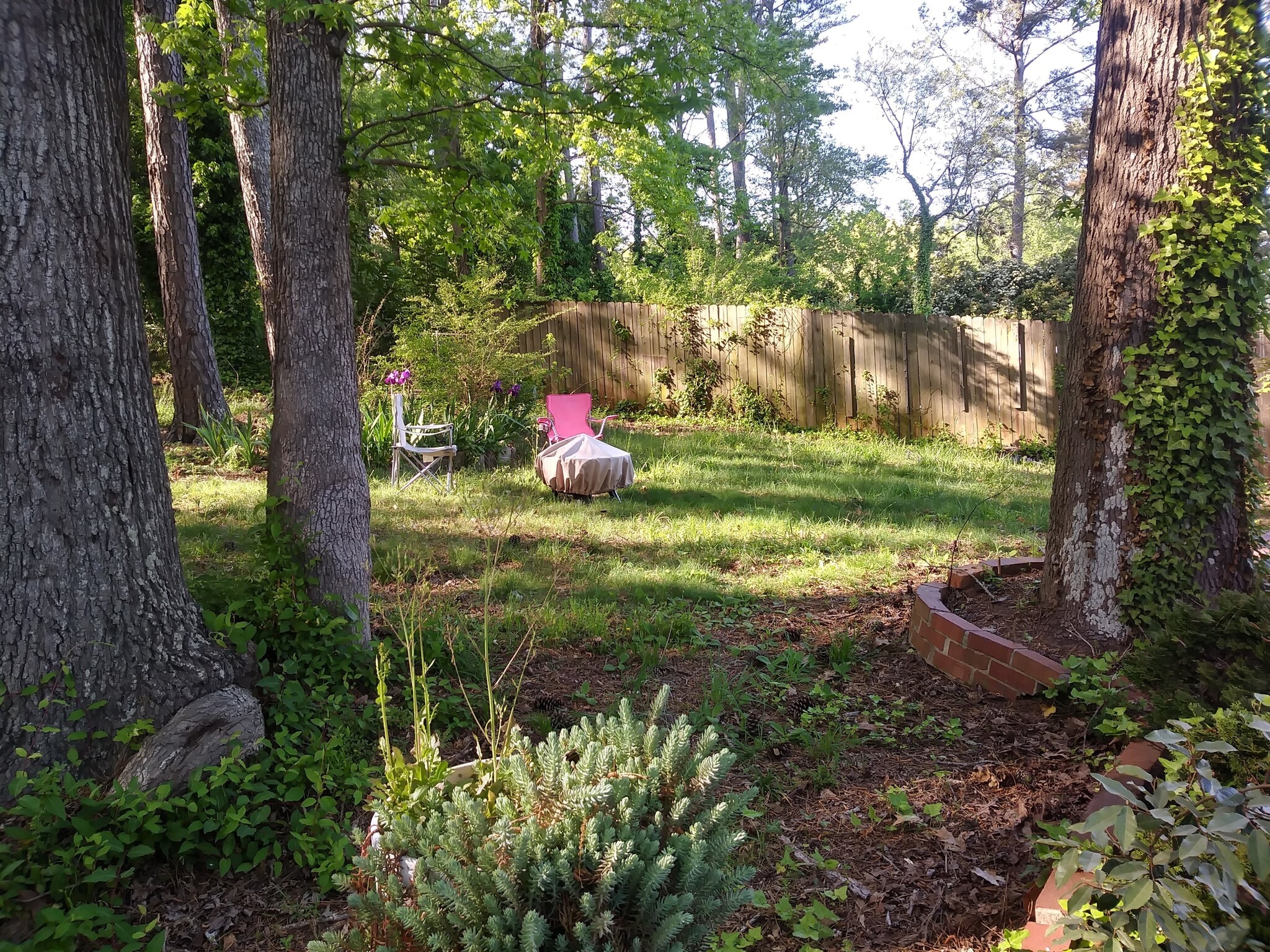 large fenced-in backyard - 701 Rosalyn Dr