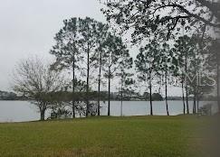 Building Photo - 2815 Carrickton Cir