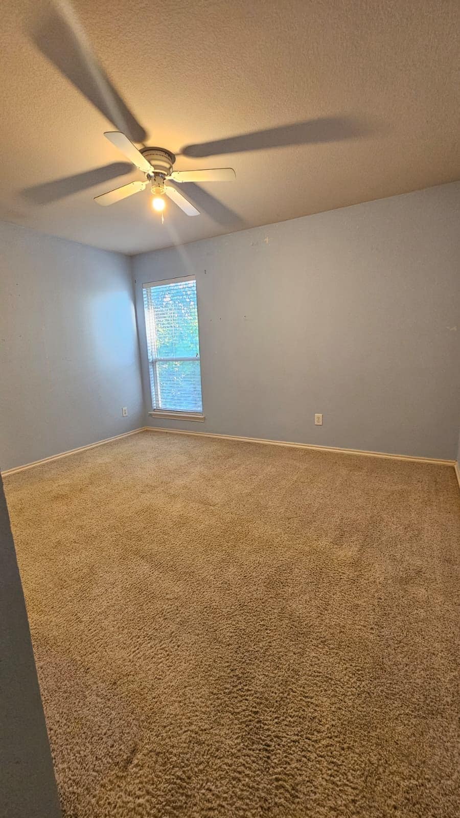 Building Photo - 8409 Romanway Dr