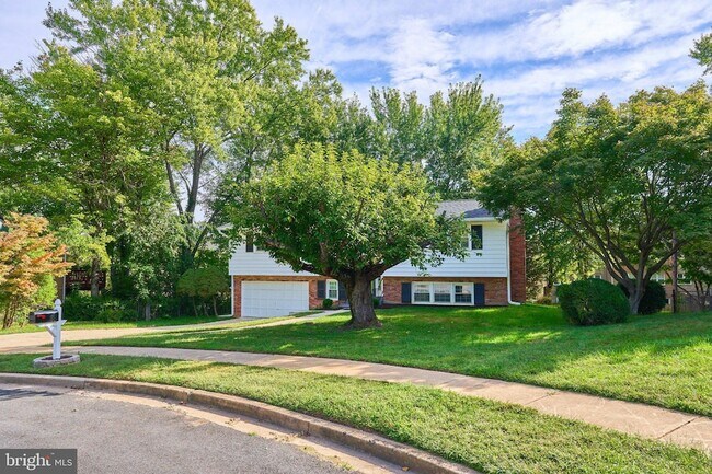 Building Photo - 2807 Schafflind Ct