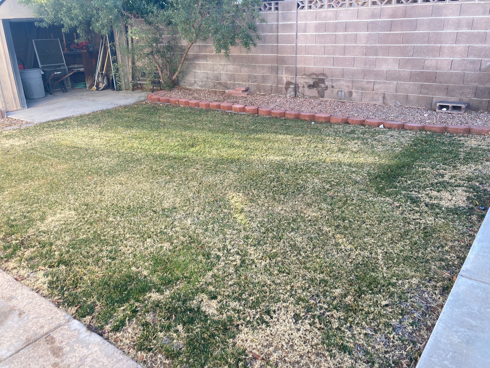 Building Photo - 8649 Orvieto Dr