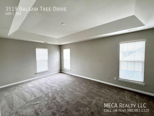 Building Photo - 3519 Balsam Tree Drive