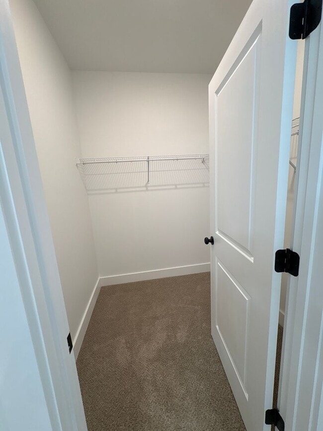 Building Photo - Beautiful New Construction Townhome in She...