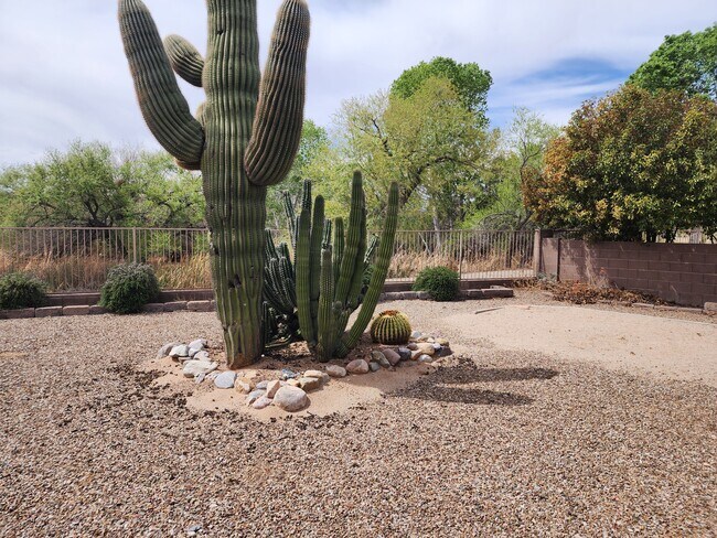 Building Photo - 13514 E Diablo Creek Dr