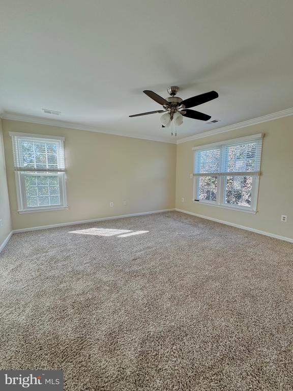 Building Photo - 12102 Snow Shoe Ct