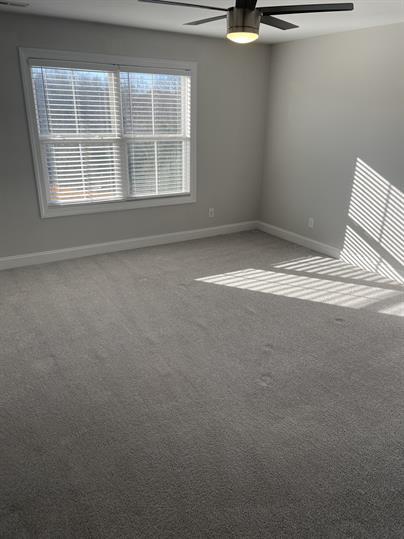 Building Photo - 1017 Ridgestone Ct