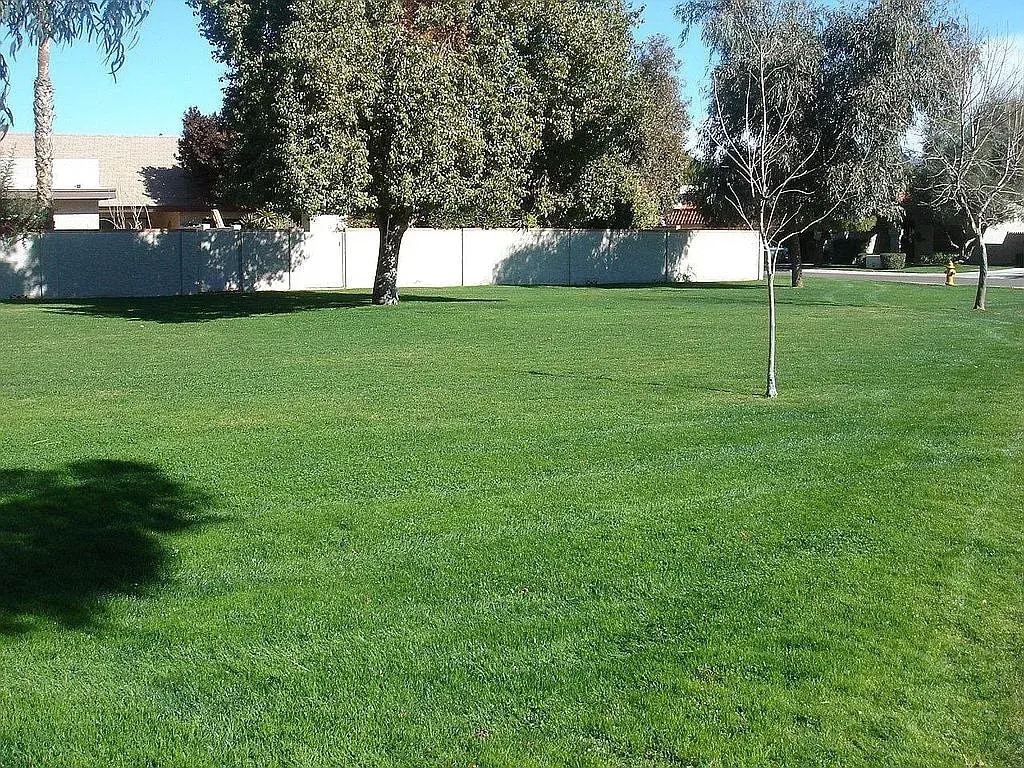 Common grounds - 9463 E Jenan Dr