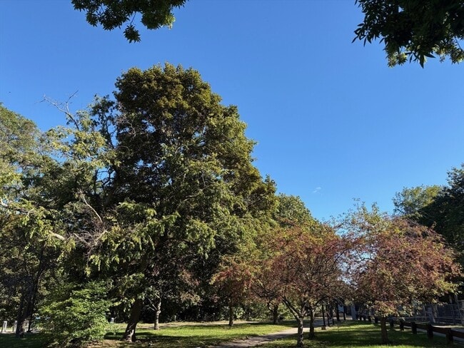 Building Photo - 22 Branchfield St