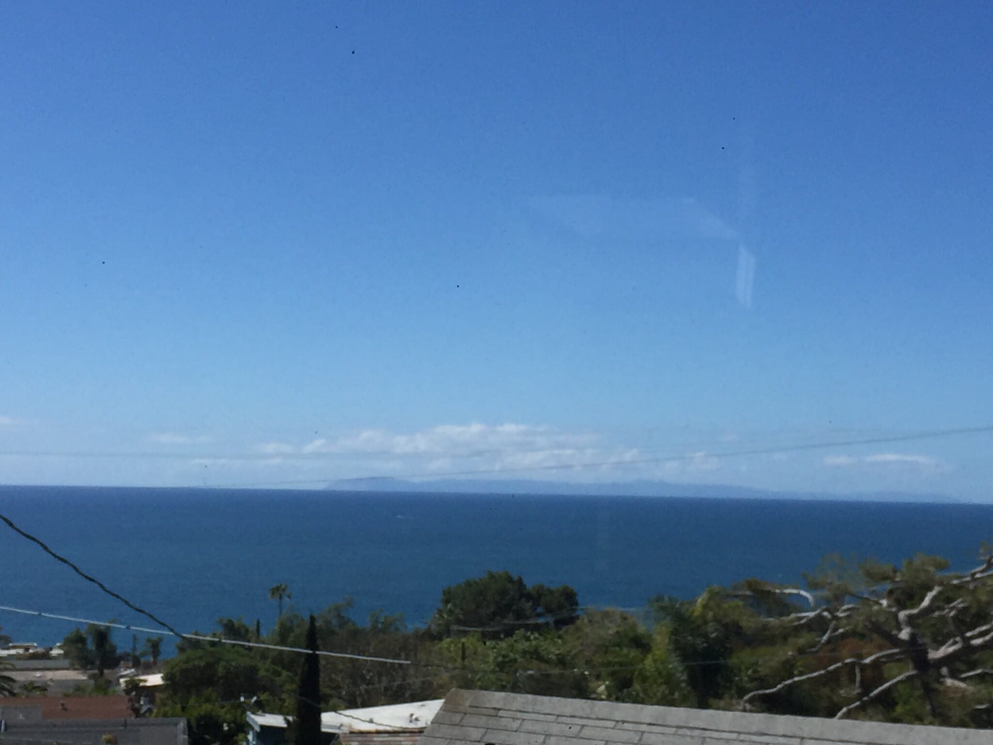 View from Kitchen/Livingroom - 31501 Burnside Pl