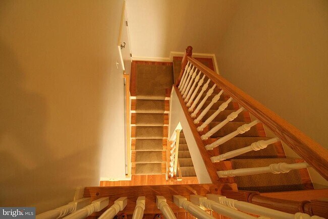 Stairs - 553 Deep Creek Vw
