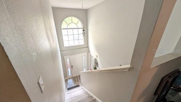 Building Photo - 106 Royalty Cir