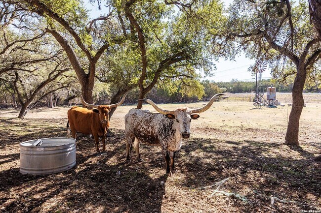 Building Photo - 118 Buffalo Springs Crossing