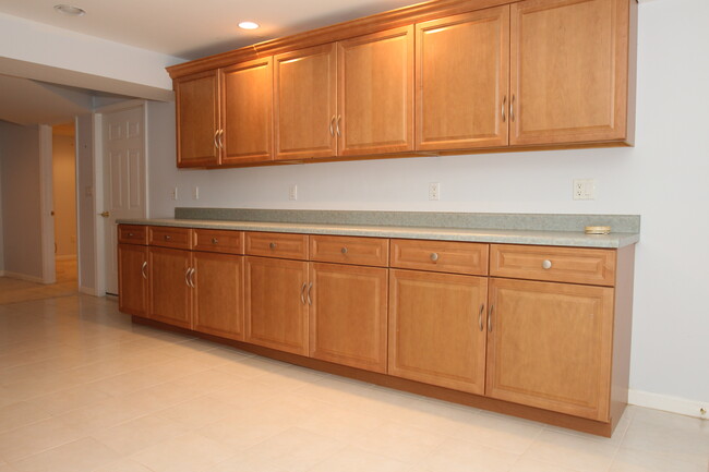 Lower level kitchen - 11 Traditional Ln