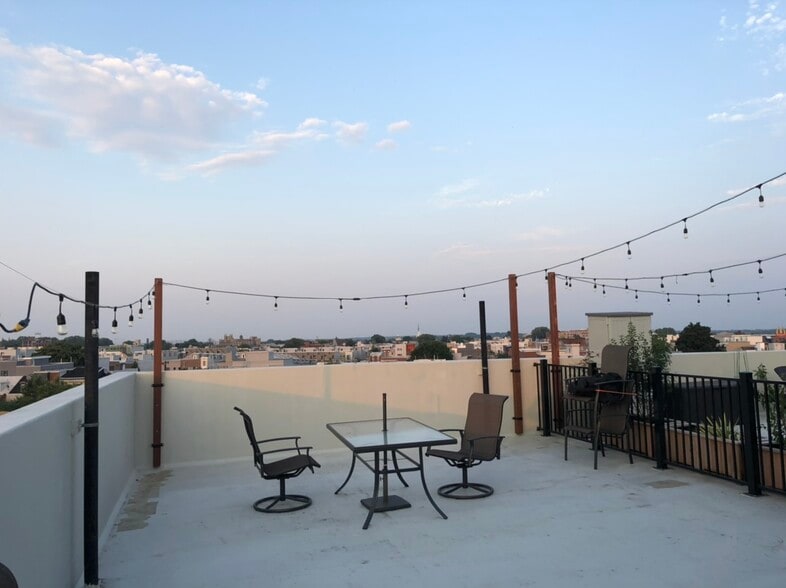 Roof Deck - 227 W Thompson St