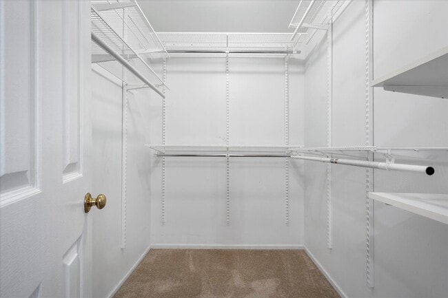 Building Photo - 226 Coventry Cir