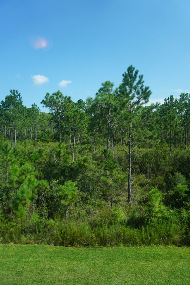 Building Photo - 3/2.5 Townhome in Santa Rosa Beach