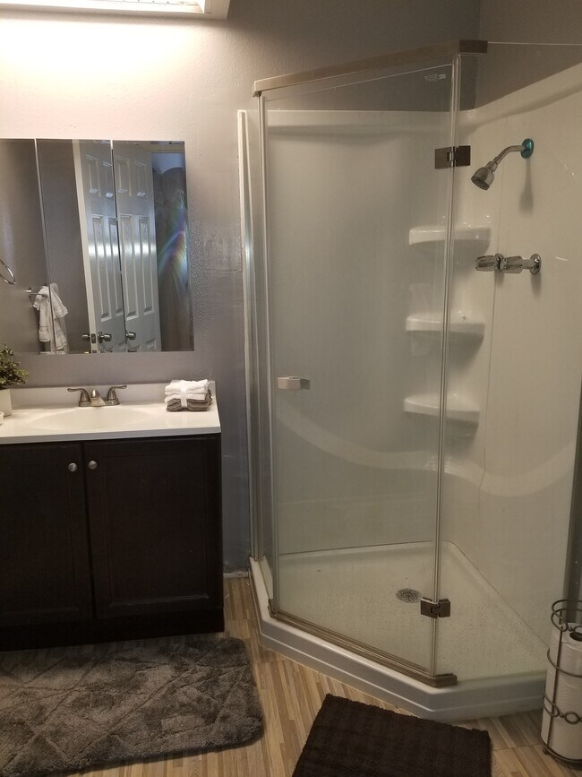 master bath - 4089 W 141st St