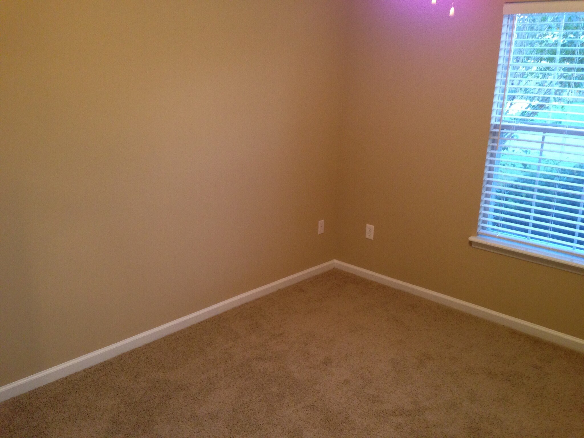 Building Photo - 8349 Waltham Rd