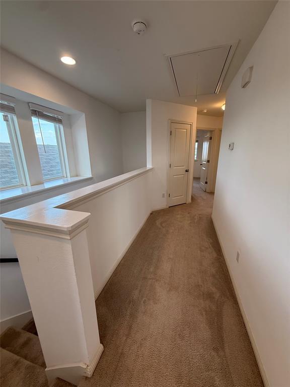 Building Photo - 234 Spiny Lizard Ln