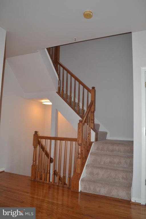 Building Photo - 12015 Panthers Ridge Dr