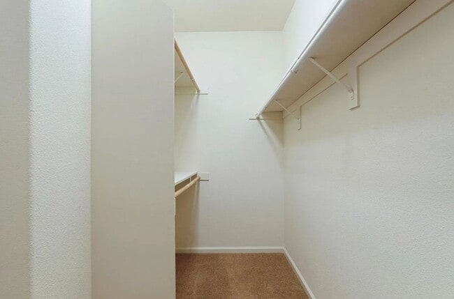 Building Photo - 1911 Lexington Dr