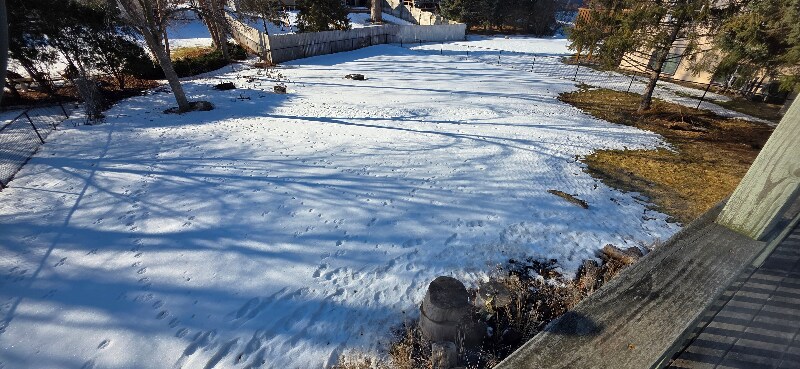 Building Photo - 9231 Queens Garden N