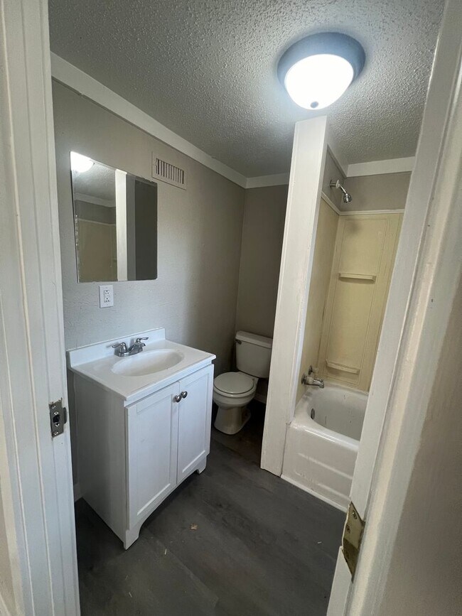 Building Photo - Newly renovated units and common areas!