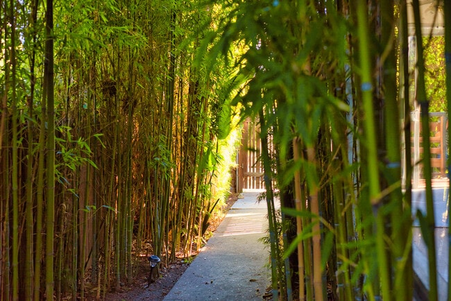 Primary Photo - 743 Vernon Ave