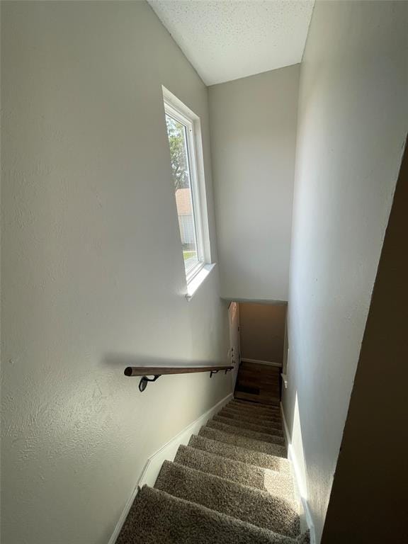 Building Photo - 8810 Springmail Cir