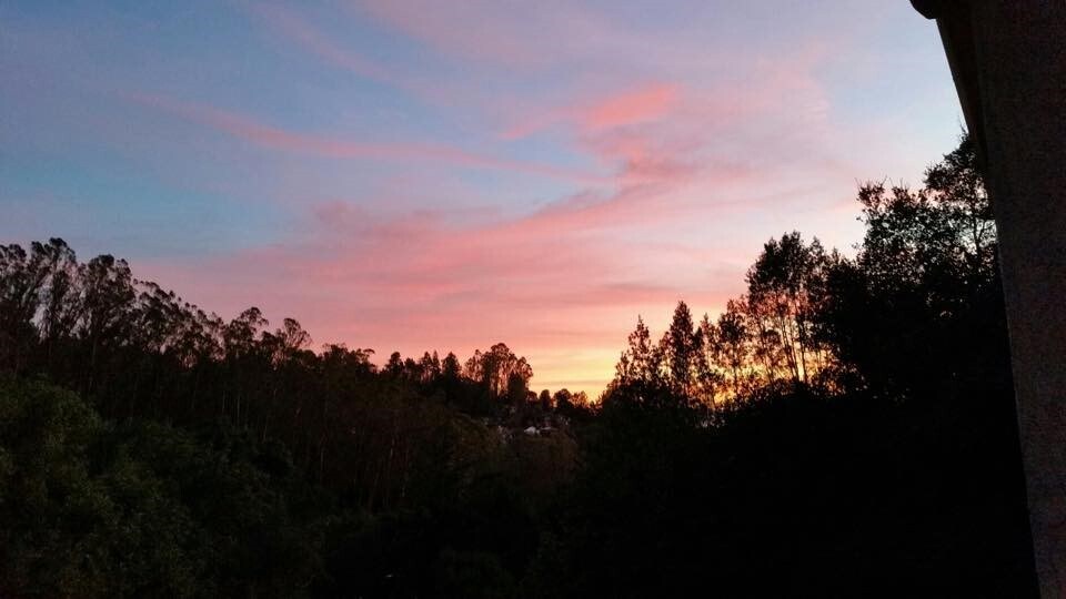 Building Photo - 7181 Thorndale Dr