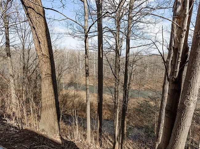 Building Photo - 7520 Spectrum Way