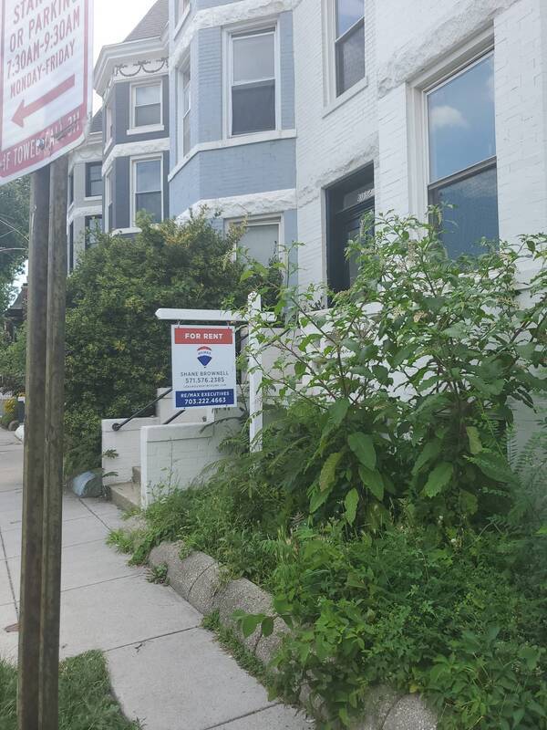 Building Photo - 2032 North Capitol St NW