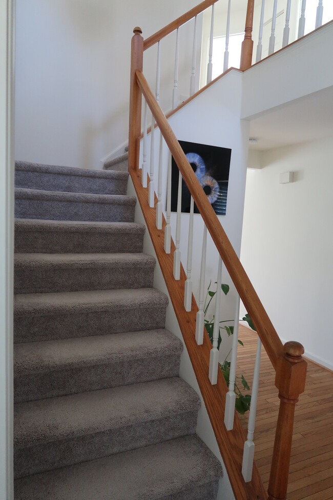 Building Photo - 4501 Deane Ct