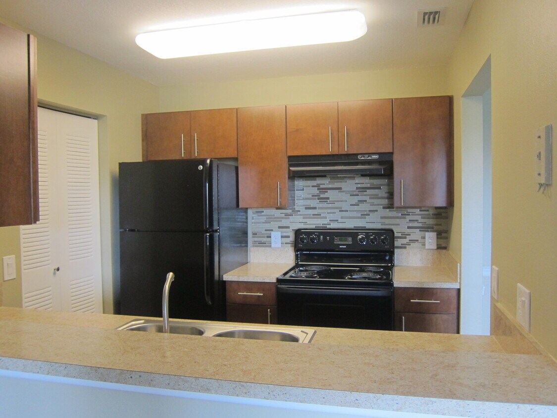 Coral Falls Coral Springs Coral Falls Coral Springs