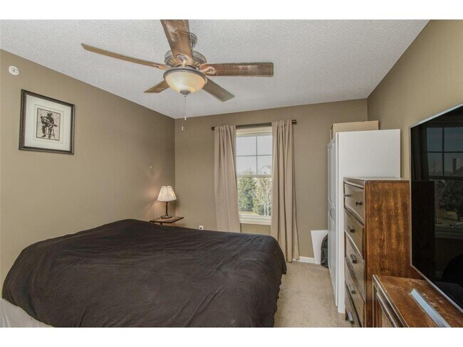 Building Photo - 2109 Cedar Grove Trail