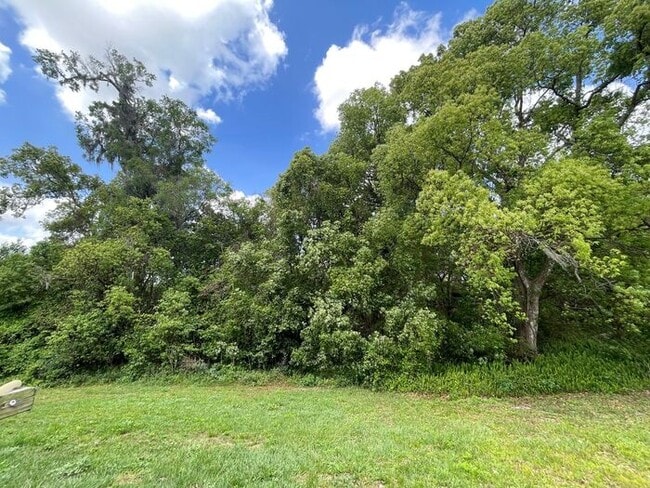 Building Photo - Gorgeous, Modern 2/2 Duplex in Orange City!