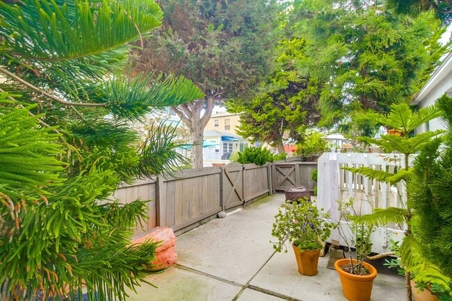 Building Photo - Price drop! Cozy Home Between Mission Beac...