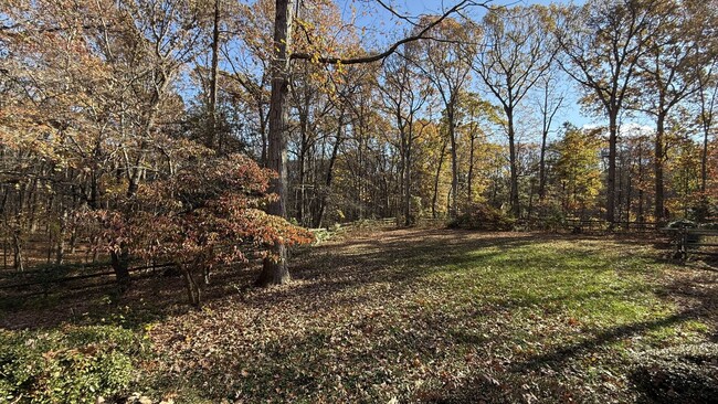 Building Photo - House on 5 Wooded Acres in Spotsylvania