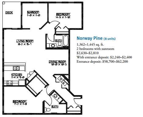 Norway Pine - Homestead at Rochester - The Grove